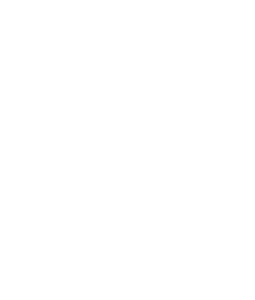 Travelers Choice Logo