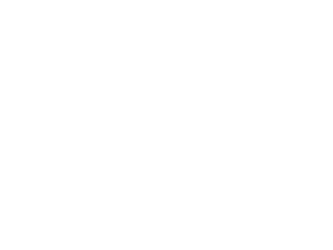Trip Advisor Logo